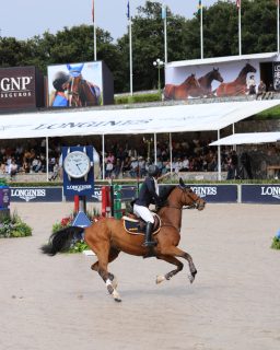Estuvimos en el @fei_jumping_ Puebla con @longines, donde conocimos de cerca las novedades de su Master Collection. El ganador recibió un Master Collection Chrono Moonphase con cronógrafo, fase lunar y calendario.
#TiempoDeRelojes #Longines #FEIJumpingWorldCup #Puebla
