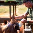Kevin Pietersen da de beber a un rinoceronte en SORAI