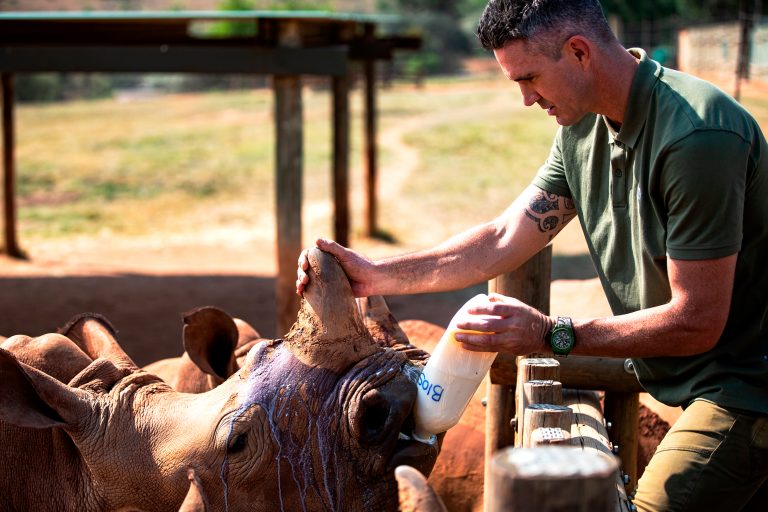 Kevin Pietersen da de beber a un rinoceronte en SORAI