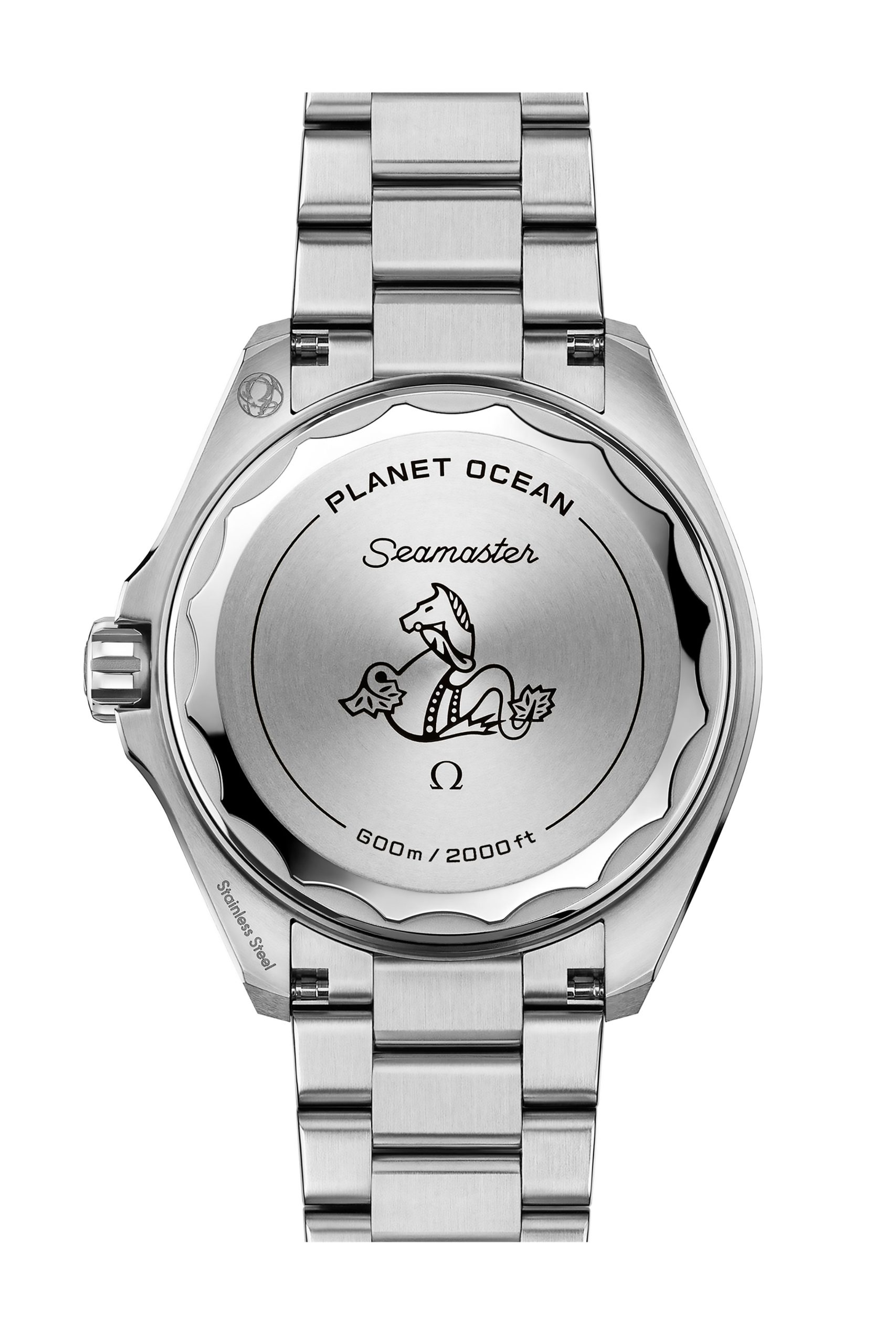 Fondo de titanio del Omega Planet Ocean
